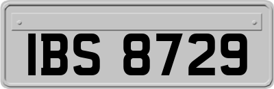 IBS8729