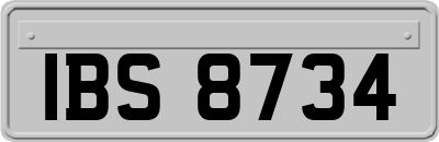 IBS8734