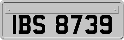 IBS8739