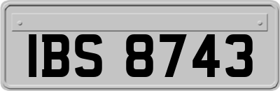 IBS8743