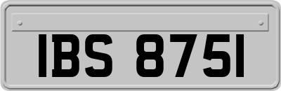 IBS8751