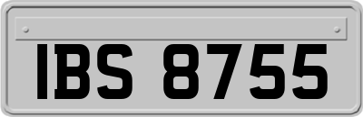 IBS8755