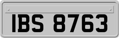 IBS8763