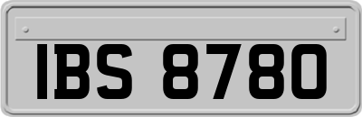 IBS8780