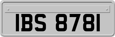 IBS8781