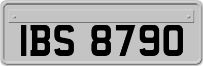 IBS8790