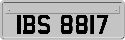 IBS8817