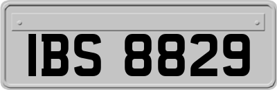IBS8829