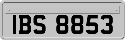 IBS8853