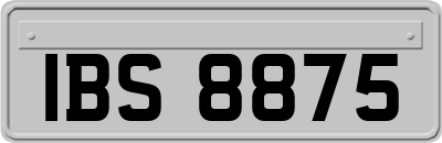 IBS8875