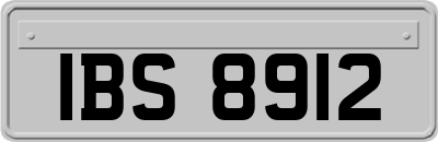 IBS8912