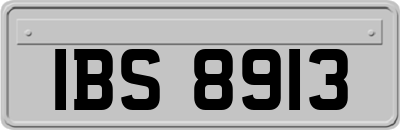 IBS8913