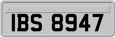 IBS8947
