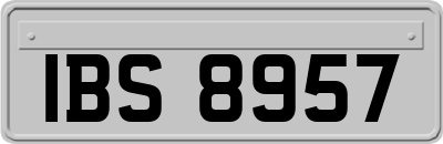 IBS8957