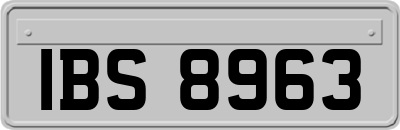IBS8963