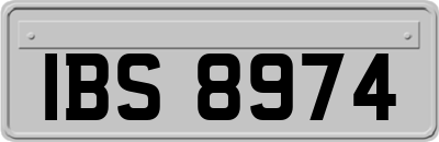 IBS8974