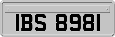 IBS8981