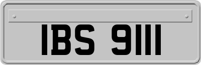 IBS9111