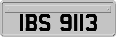 IBS9113
