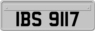 IBS9117