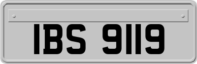 IBS9119