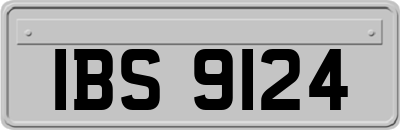 IBS9124