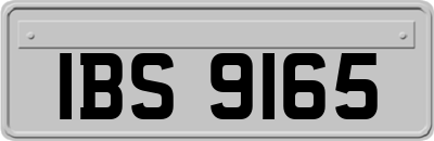 IBS9165