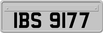 IBS9177