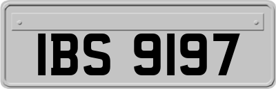 IBS9197