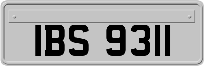 IBS9311