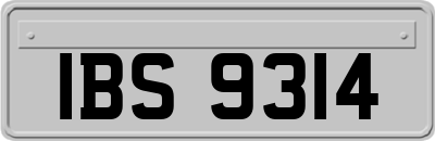 IBS9314