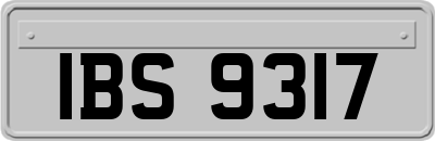 IBS9317