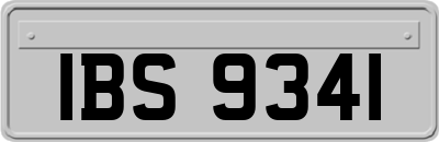 IBS9341