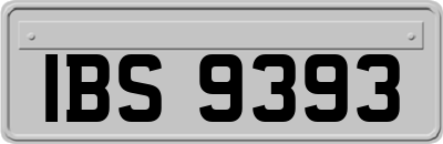 IBS9393