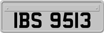 IBS9513