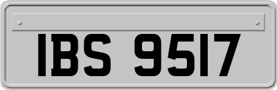 IBS9517