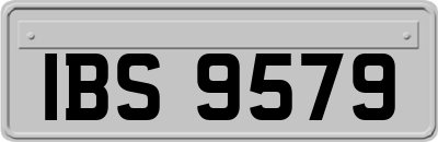IBS9579