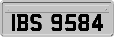 IBS9584
