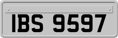 IBS9597