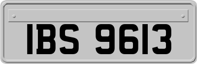 IBS9613
