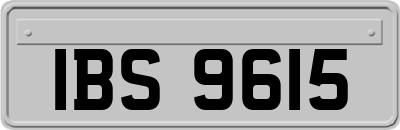 IBS9615