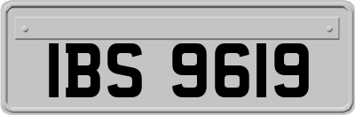IBS9619