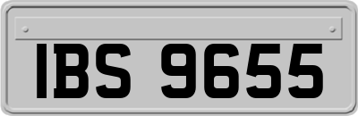 IBS9655