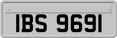 IBS9691