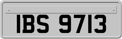 IBS9713