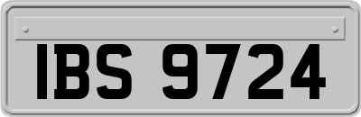 IBS9724