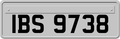 IBS9738