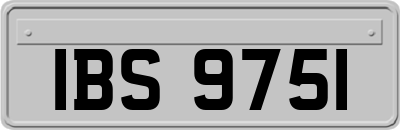 IBS9751