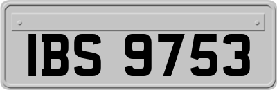 IBS9753