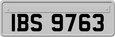 IBS9763